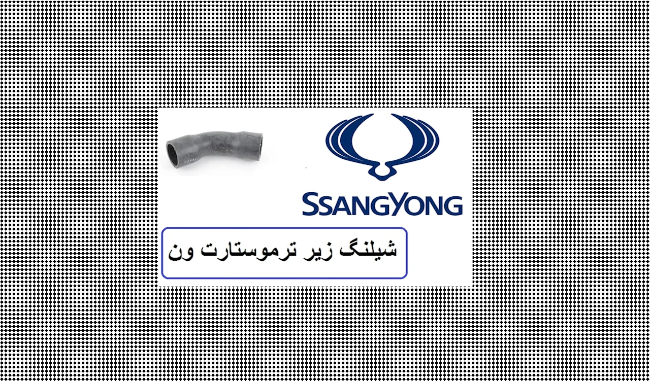 شیلنگ زیر ترموستات بنز MB140